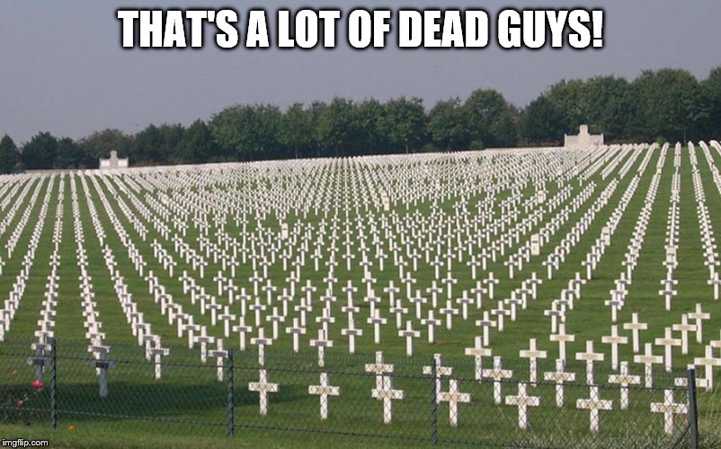 ww2 graves | THAT'S A LOT OF DEAD GUYS! | image tagged in ww2 graves | made w/ Imgflip meme maker
