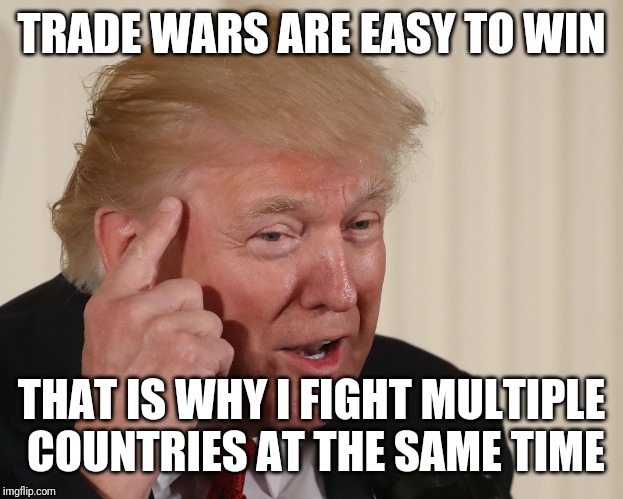 Just like Nazi Germany | TRADE WARS ARE EASY TO WIN; THAT IS WHY I FIGHT MULTIPLE COUNTRIES AT THE SAME TIME | image tagged in trump thinking,tariffs,war | made w/ Imgflip meme maker