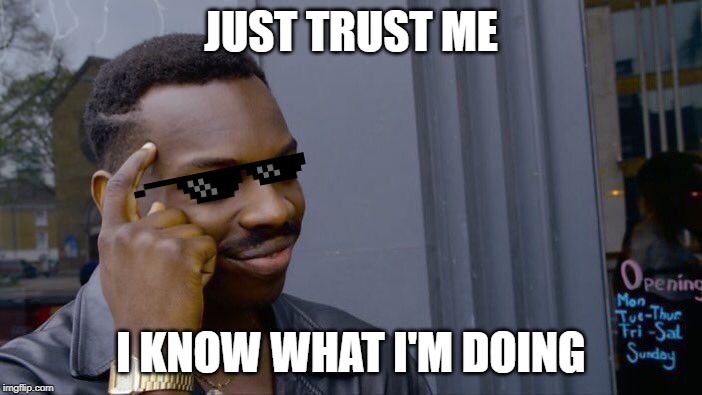 Roll Safe Think About It | JUST TRUST ME; I KNOW WHAT I'M DOING | image tagged in memes,roll safe think about it | made w/ Imgflip meme maker