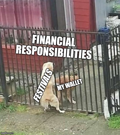 Festival enthusiam | FINANCIAL RESPONSIBILITIES; MY WALLET; FESTIVALS | image tagged in dog through fence | made w/ Imgflip meme maker