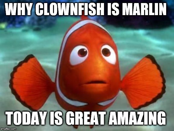 Scared marlin | WHY CLOWNFISH IS MARLIN; TODAY IS GREAT AMAZING | image tagged in scared marlin | made w/ Imgflip meme maker