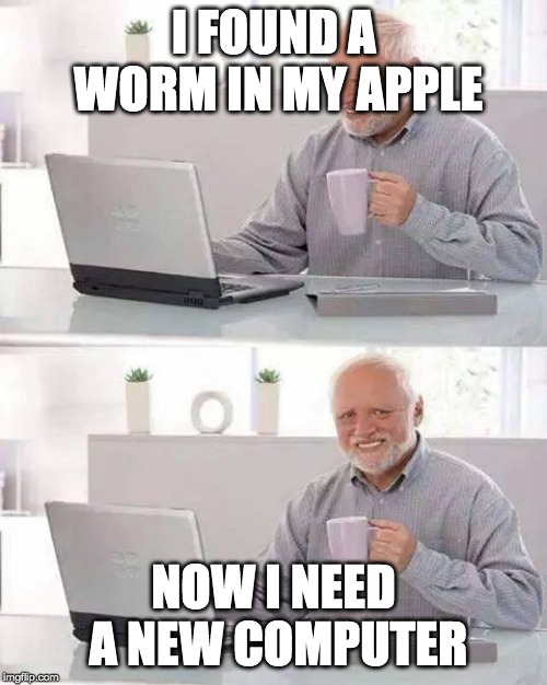 His wife hugged it. Sorry, bugged it. | I FOUND A WORM IN MY APPLE; NOW I NEED A NEW COMPUTER | image tagged in memes,hide the pain harold | made w/ Imgflip meme maker