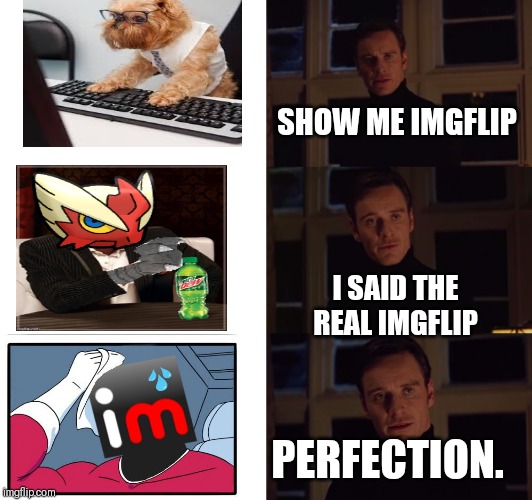 perfection | SHOW ME IMGFLIP; I SAID THE REAL IMGFLIP; PERFECTION. | image tagged in perfection | made w/ Imgflip meme maker