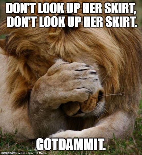lion covering face | DON'T LOOK UP HER SKIRT, DON'T LOOK UP HER SKIRT. GOTDAMMIT. | image tagged in lion covering face | made w/ Imgflip meme maker
