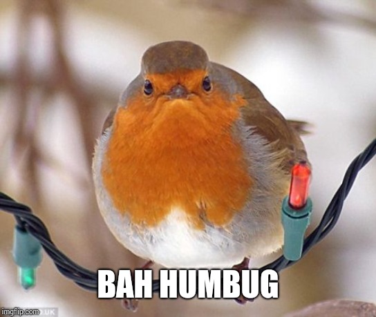 Bah Humbug Meme | BAH HUMBUG | image tagged in memes,bah humbug | made w/ Imgflip meme maker