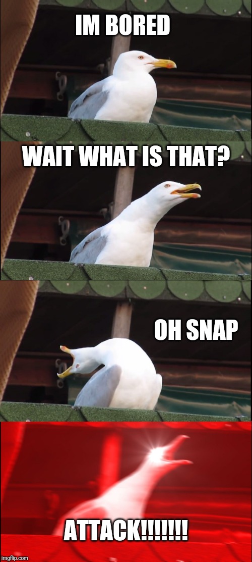 Inhaling Seagull Meme | IM BORED; WAIT WHAT IS THAT? OH SNAP; ATTACK!!!!!!! | image tagged in memes,inhaling seagull | made w/ Imgflip meme maker