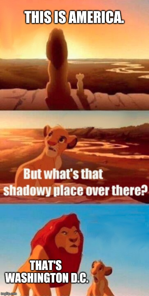 Simba gets a lesson in American politics. | THIS IS AMERICA. THAT'S WASHINGTON D.C. | image tagged in memes,simba shadowy place,politics | made w/ Imgflip meme maker