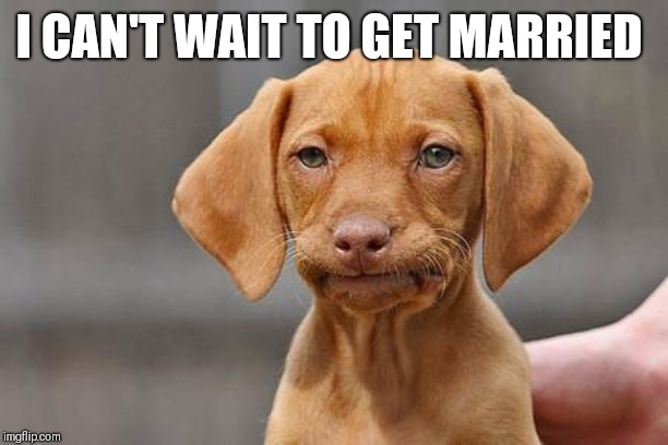 Dissapointed puppy | I CAN'T WAIT TO GET MARRIED | image tagged in dissapointed puppy | made w/ Imgflip meme maker