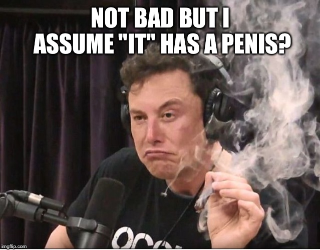 Elon Musk smoking a joint | NOT BAD BUT I ASSUME "IT" HAS A P**IS? | image tagged in elon musk smoking a joint | made w/ Imgflip meme maker