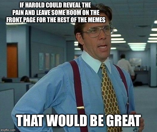 That Would Be Great Meme | IF HAROLD COULD REVEAL THE PAIN AND LEAVE SOME ROOM ON THE FRONT PAGE FOR THE REST OF THE MEMES; THAT WOULD BE GREAT | image tagged in memes,that would be great | made w/ Imgflip meme maker