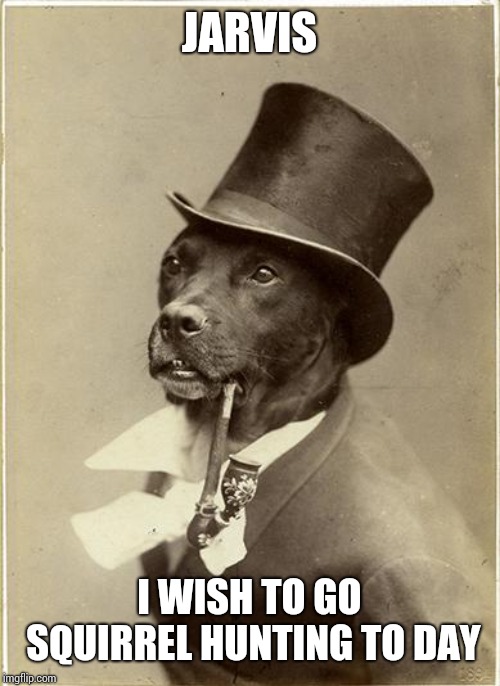 Old Money Dog | JARVIS; I WISH TO GO SQUIRREL HUNTING TO DAY | image tagged in old money dog | made w/ Imgflip meme maker