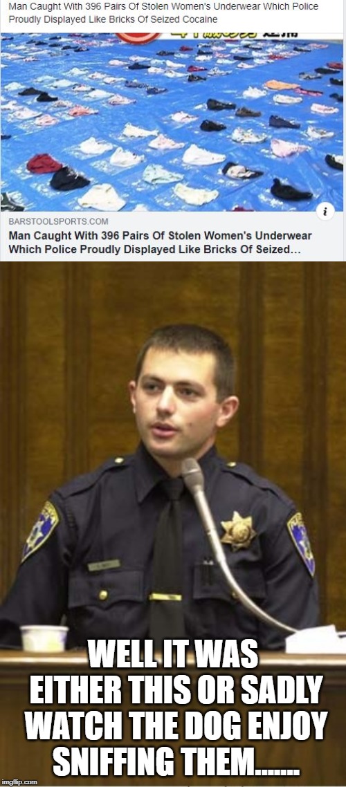 Panty Raid! | WELL IT WAS EITHER THIS OR SADLY WATCH THE DOG ENJOY SNIFFING THEM....... | image tagged in memes,police officer testifying | made w/ Imgflip meme maker