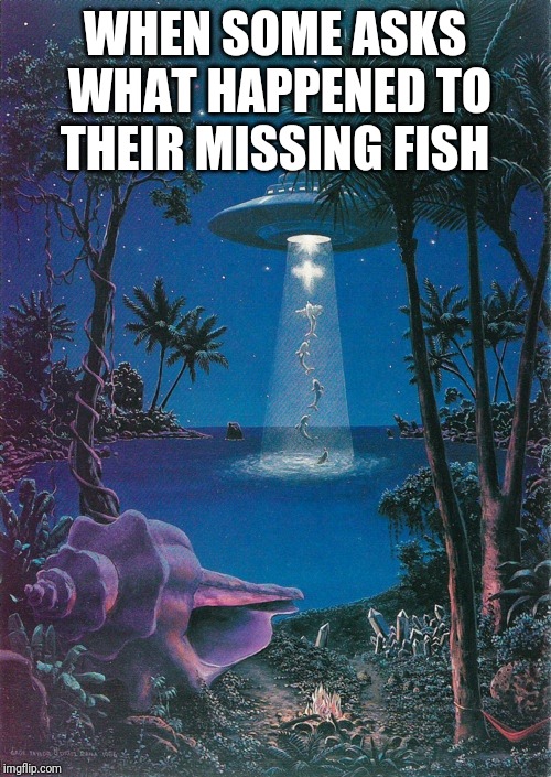 ufo fishing | WHEN SOME ASKS WHAT HAPPENED TO THEIR MISSING FISH | image tagged in ufo fishing | made w/ Imgflip meme maker