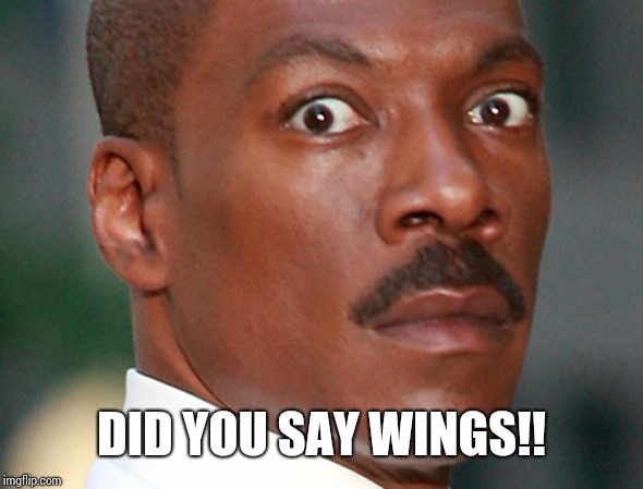 Did somebody say chicken wings? | DID YOU SAY WINGS!! | image tagged in did somebody say chicken wings | made w/ Imgflip meme maker