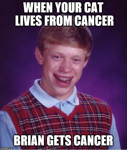 WHEN YOUR CAT LIVES FROM CANCER BRIAN GETS CANCER | image tagged in memes,bad luck brian | made w/ Imgflip meme maker