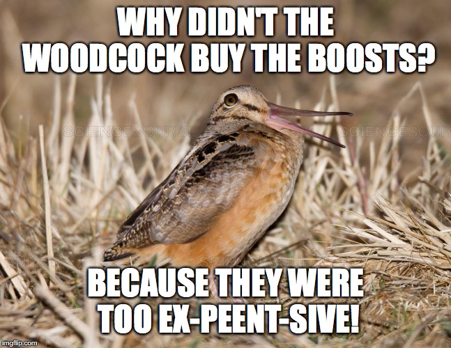 WHY DIDN'T THE WOODCOCK BUY THE BOOSTS? BECAUSE THEY WERE TOO EX-PEENT-SIVE! | made w/ Imgflip meme maker