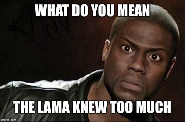 Kevin Hart | WHAT DO YOU MEAN; THE LAMA KNEW TOO MUCH | image tagged in memes,kevin hart | made w/ Imgflip meme maker