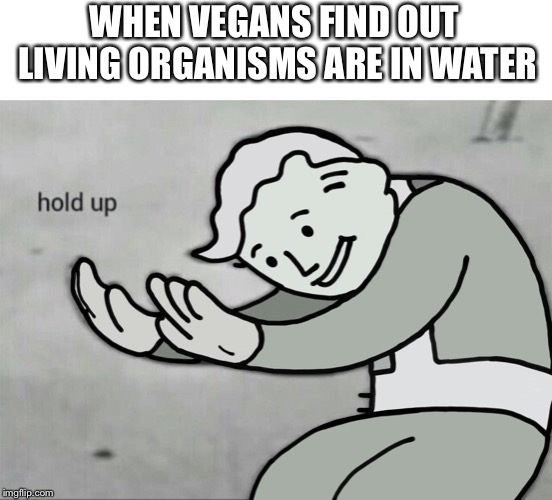 Wait Hold Up | WHEN VEGANS FIND OUT LIVING ORGANISMS ARE IN WATER | image tagged in wait hold up | made w/ Imgflip meme maker