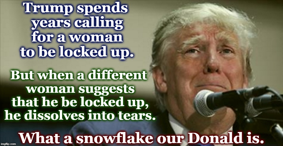 That's why the President is a squish. | Trump spends years calling for a woman to be locked up. But when a different woman suggests that he be locked up, he dissolves into tears. What a snowflake our Donald is. | image tagged in trump,snowflake,hillary,pelosi,bully | made w/ Imgflip meme maker