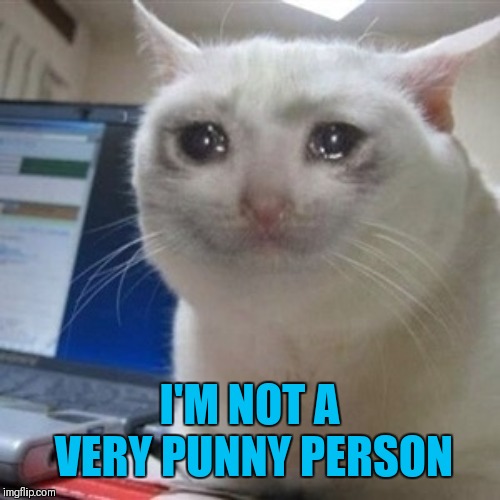 Crying cat | I'M NOT A VERY PUNNY PERSON | image tagged in crying cat | made w/ Imgflip meme maker