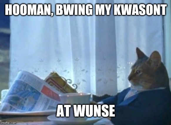 I Should Buy A Boat Cat Meme | HOOMAN, BWING MY KWASONT; AT WUNSE | image tagged in memes,i should buy a boat cat | made w/ Imgflip meme maker