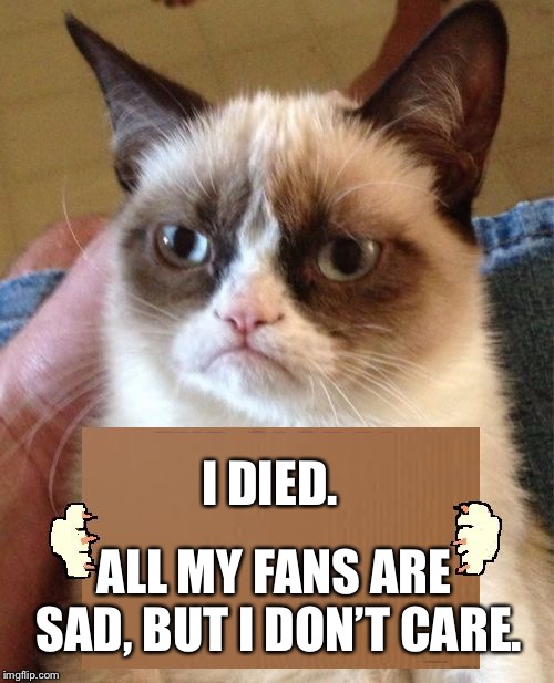 R.I.P Grumpy Cat, even if you don’t care, we miss you! | I DIED. ALL MY FANS ARE SAD, BUT I DON’T CARE. | image tagged in grumpy cat cardboard sign | made w/ Imgflip meme maker