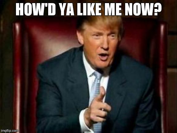 Donald Trump | HOW'D YA LIKE ME NOW? | image tagged in donald trump | made w/ Imgflip meme maker