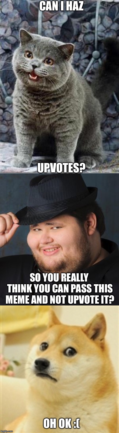  CAN I HAZ; UPVOTES? SO YOU REALLY THINK YOU CAN PASS THIS MEME AND NOT UPVOTE IT? OH OK :( | image tagged in i can has cheezburger cat,sad doge,nice guy in a fedora | made w/ Imgflip meme maker