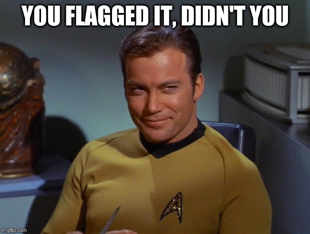 Kirk Smirk | YOU FLAGGED IT, DIDN'T YOU | image tagged in kirk smirk | made w/ Imgflip meme maker