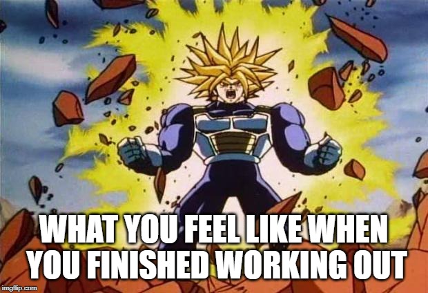 Dragon ball z | WHAT YOU FEEL LIKE WHEN YOU FINISHED WORKING OUT | image tagged in dragon ball z | made w/ Imgflip meme maker