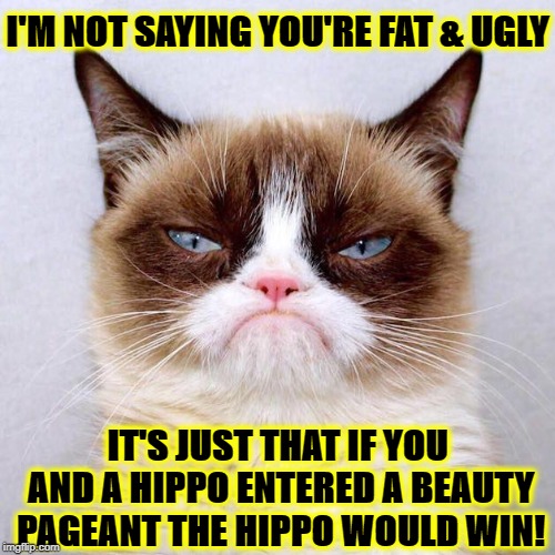 I'M NOT SAYING YOU'RE UGLY | I'M NOT SAYING YOU'RE FAT & UGLY; IT'S JUST THAT IF YOU AND A HIPPO ENTERED A BEAUTY PAGEANT THE HIPPO WOULD WIN! | image tagged in i'm not saying you're ugly | made w/ Imgflip meme maker