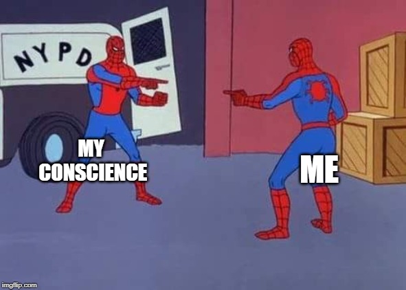 Spiderman mirror | MY CONSCIENCE; ME | image tagged in spiderman mirror | made w/ Imgflip meme maker
