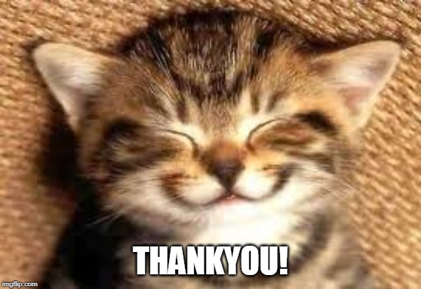 Happy cat | THANKYOU! | image tagged in happy cat | made w/ Imgflip meme maker