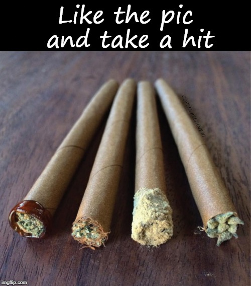 Like the pic and take a hit; COVELL BELLAMY III | image tagged in blunt like and hit | made w/ Imgflip meme maker