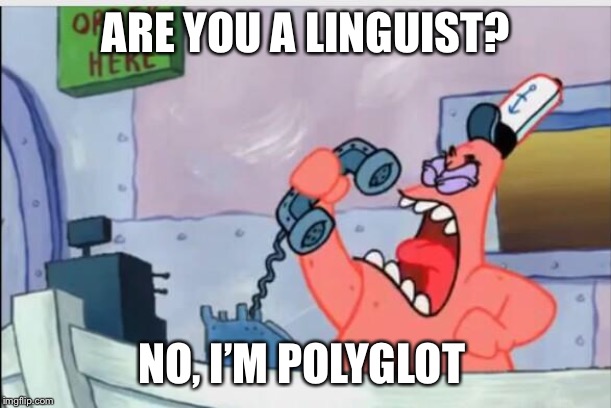 NO THIS IS PATRICK | ARE YOU A LINGUIST? NO, I’M POLYGLOT | image tagged in no this is patrick | made w/ Imgflip meme maker