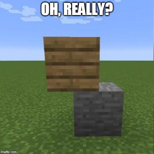 Oh,really minecraft? | OH, REALLY? | image tagged in minecraft,cursed image,funny,oh really,wtf | made w/ Imgflip meme maker