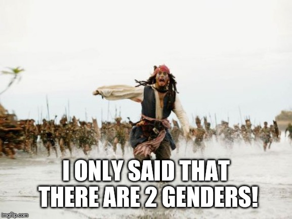 Jack Sparrow Being Chased Meme | I ONLY SAID THAT THERE ARE 2 GENDERS! | image tagged in memes,jack sparrow being chased | made w/ Imgflip meme maker