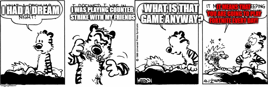 What is Counter Strike | WHAT IS THAT GAME ANYWAY? I WAS PLAYING COUNTER STRIKE WITH MY FRIENDS; IT MEANS THAT YOU ARE GOING TO PLAY FORTNITE EVERY DAY! I HAD A DREAM | image tagged in calvin and hobbes,counter strike,fortnite | made w/ Imgflip meme maker
