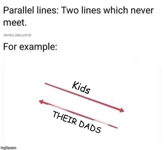 Parallel Lines That Will Never Meet Sex Marriage Blank Meme Template