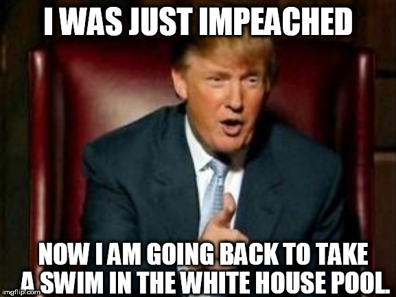 Donald Trump | I WAS JUST IMPEACHED; NOW I AM GOING BACK TO TAKE A SWIM IN THE WHITE HOUSE POOL. | image tagged in donald trump | made w/ Imgflip meme maker