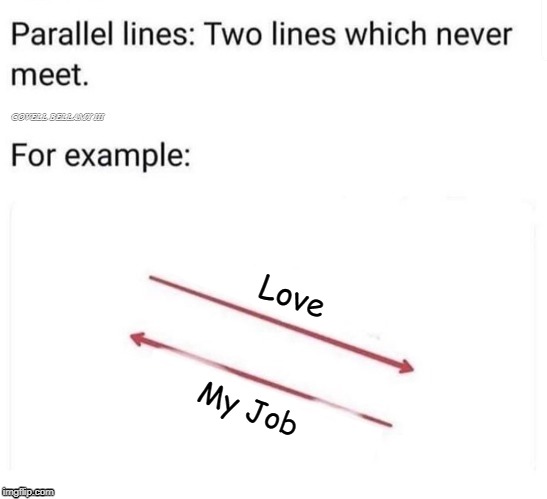 Parallel Lines That Will Never Meet Love My Job | Love; My Job | image tagged in parallel lines that will never meet love my job | made w/ Imgflip meme maker