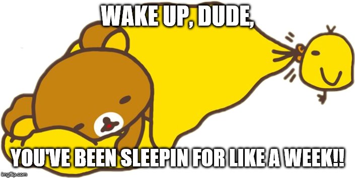 rilakuma is sleepy | WAKE UP, DUDE, YOU'VE BEEN SLEEPIN FOR LIKE A WEEK!! | image tagged in rilakuma is sleepy | made w/ Imgflip meme maker