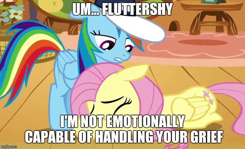 Dashie can't handle this | UM... FLUTTERSHY; I'M NOT EMOTIONALLY CAPABLE OF HANDLING YOUR GRIEF | image tagged in mlp fim,mlp meme,rainbow dash,fluttershy | made w/ Imgflip meme maker