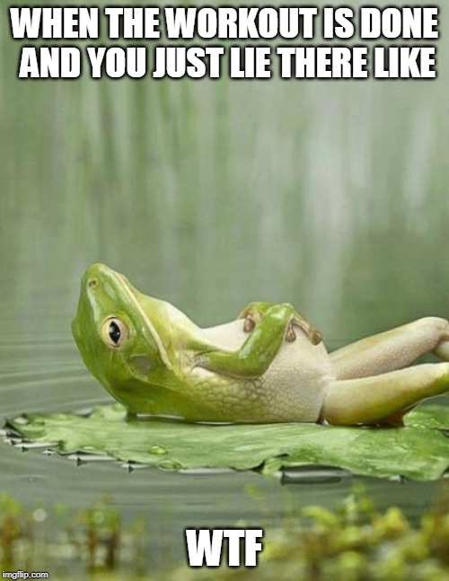 frog | WHEN THE WORKOUT IS DONE AND YOU JUST LIE THERE LIKE; WTF | image tagged in frog | made w/ Imgflip meme maker