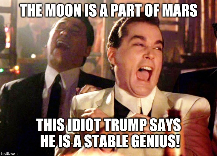 Good Fellas Hilarious | THE MOON IS A PART OF MARS; THIS IDIOT TRUMP SAYS HE IS A STABLE GENIUS! | image tagged in memes,good fellas hilarious | made w/ Imgflip meme maker