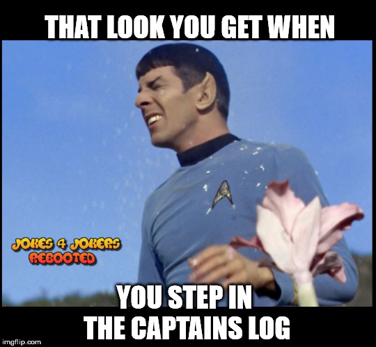 log | THAT LOOK YOU GET WHEN; YOU STEP IN THE CAPTAINS LOG | image tagged in funny,funny memes | made w/ Imgflip meme maker