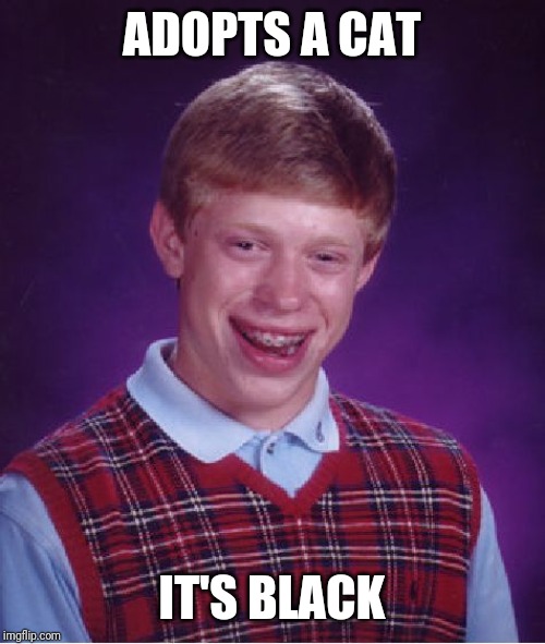 He has bad luck times two now. | ADOPTS A CAT; IT'S BLACK | image tagged in memes,bad luck brian,black cat | made w/ Imgflip meme maker