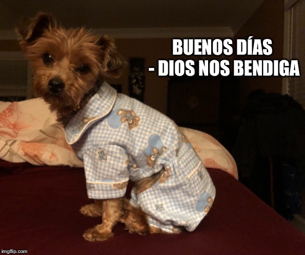 BUENOS DÍAS - DIOS NOS BENDIGA | image tagged in trump | made w/ Imgflip meme maker