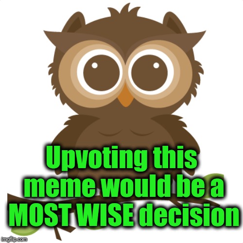 Upvoting this meme would be a MOST WISE decision | made w/ Imgflip meme maker