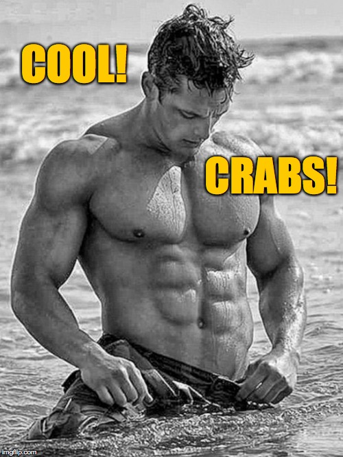 Stuff you may discover at the beach  ( : | COOL! CRABS! | image tagged in sexy man,memes,crabs,beach | made w/ Imgflip meme maker